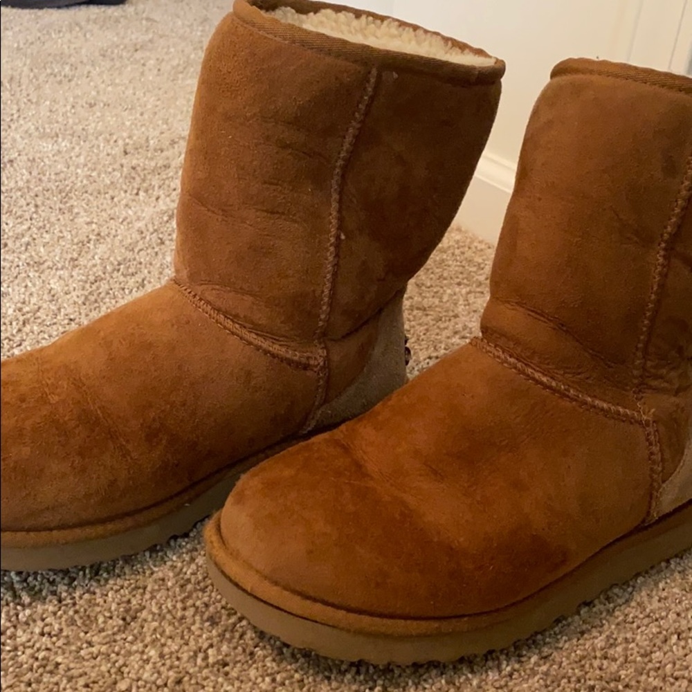 Ugg boots brown (Classic)